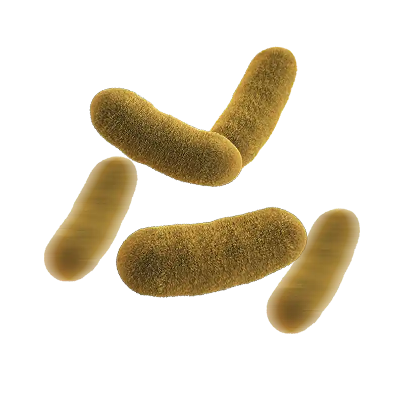 Microbiología