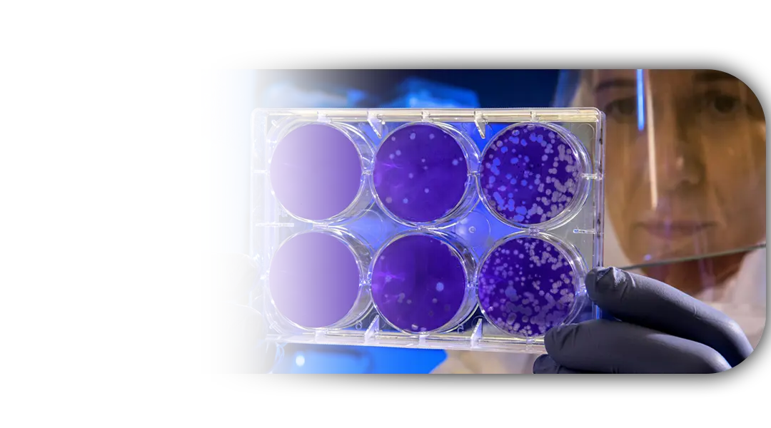 Minerales biobasados desarrollados por Bioluméa