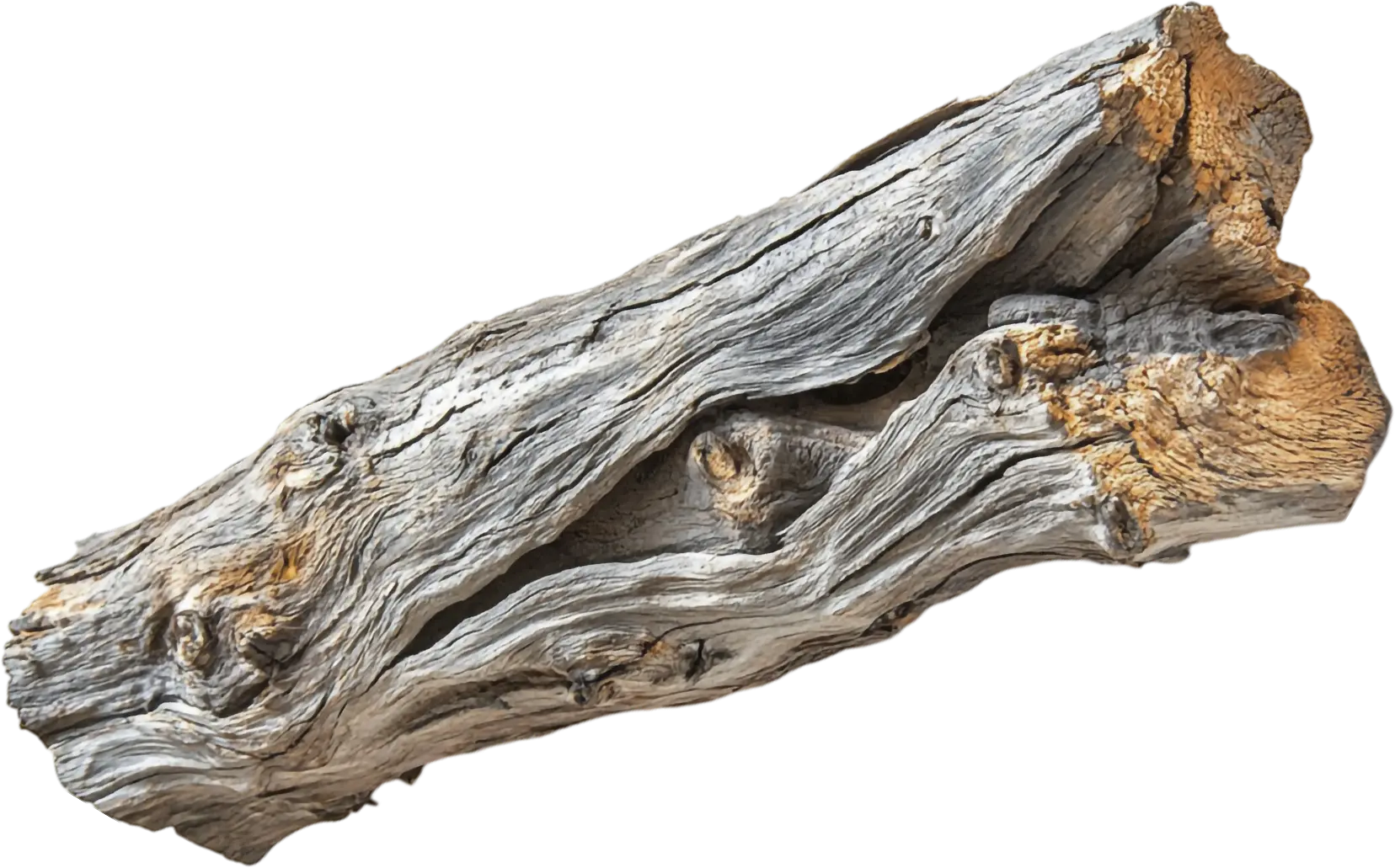 Biomasa forestal utilizada por Bioluméa