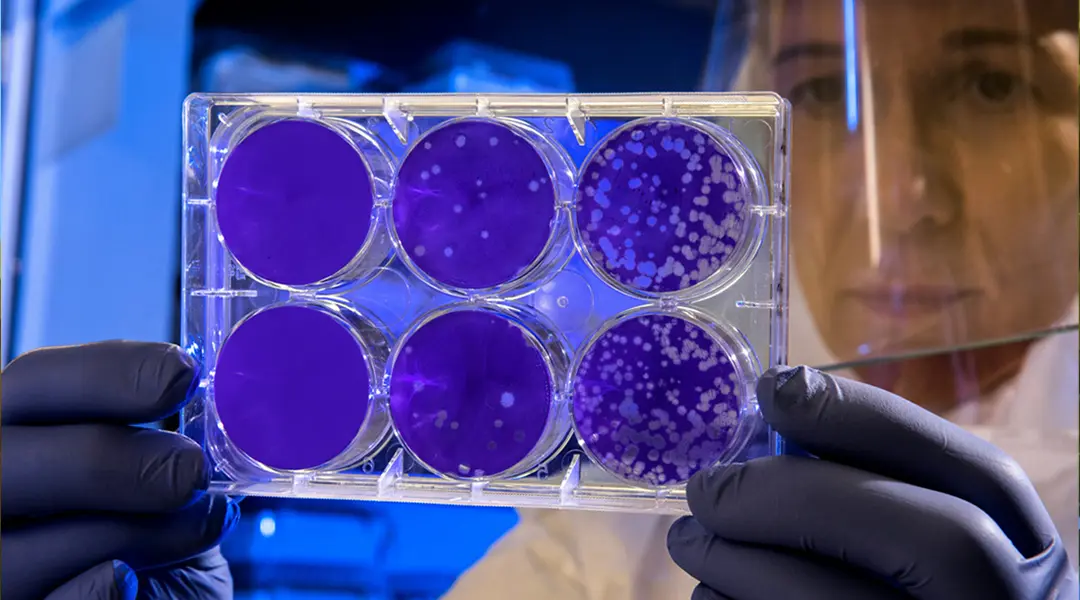 Biobased minerals developed by Bioluméa